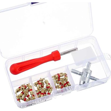Kit De Dépose De Valve De Pneu, Demonte Obus Valve, Comprend Valves, Clé De Démontage De Valve, Outil Polyvalent À Quatre Fonctions (1/5)