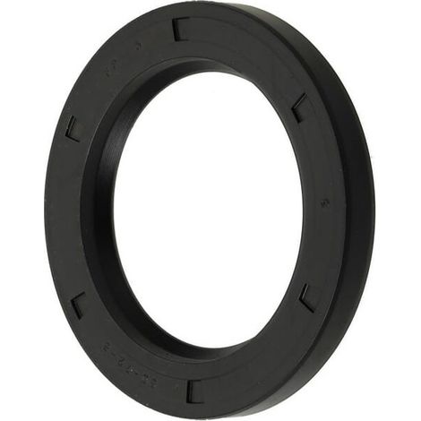 Paraolio BRIGGS ET STRATTON 590712 (1/2)