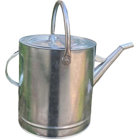 Carafe à huile avec bec verseur, couvercle étanche et poignée, récipient en métal, distributeur d'huile (1/5)
