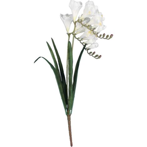 2 rametti di fresia, 54 cm, bianchi (1/3)