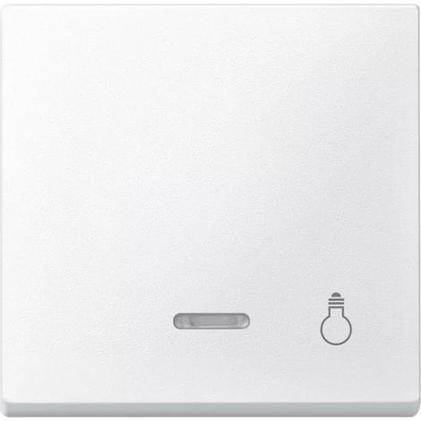 Merten Wippe Kontr.Fenster pws Aufdruck Licht 430919 (1/2)