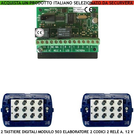 Tastiere da Incasso 2 Pezzi Elettronica Per Modulo 503 Un Elaboratore Remoto Gestisce 2 Attivazioni Antifurto Tensione 12 Vdc Codici DTMF 6 Cifre 2 Led e 2 Relè Liberi Con Funzioni Programmabili IP44 (1/3)