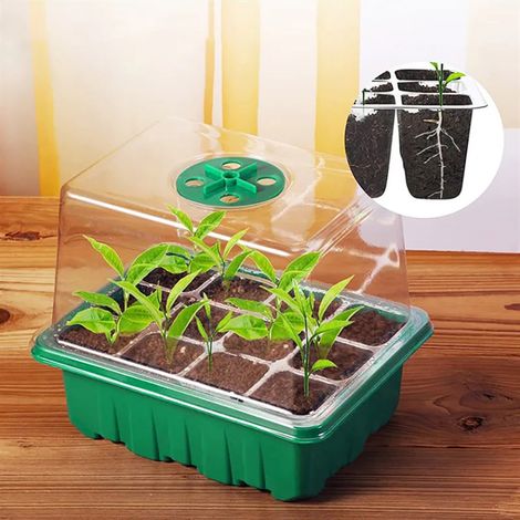 Station de culture avec éclairage LED et couvercle ajustable – lot de 6-AquaForge (1/5)