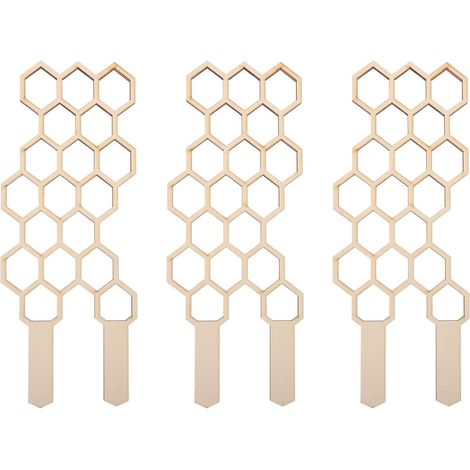 Tuteur en bois pour plantes grimpantes en pot (lot de 3) (1/5)