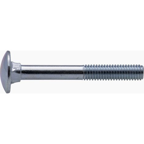 Boulon zingué TRCC Viswood Ø5x60mm (lot de 20 boulons)