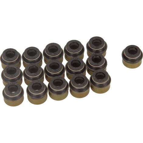 KIT DE JOINTS DE QUEUE DE SOUPAPE VW VICTOR REINZ 6 MM