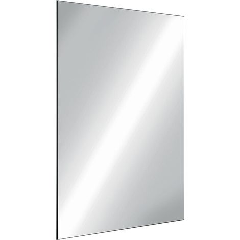 Miroir de toilette Inox poli incassable rectangulaire 10x595x980 - DELABIE (1/2)