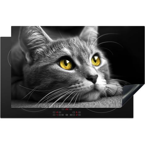 PROTEZIONE PER PIANO COTTURA A INDUZIONE Gatto - Grigio - Animali - Gatto 83x51 (1/5)