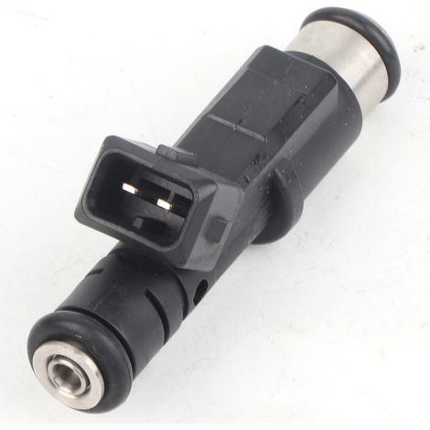 Inyector de combustible 01F003A para Peugeot y Citroën - Compatible con 206, 307, 406, 407, 607, 806, 807, Expert (1/5)