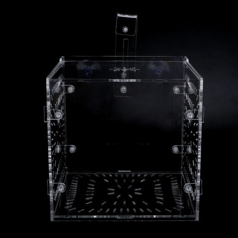 Boîtier d'Isolation Transparent pour Aquarium Poisson Malade Incubation Séparation 15CM Cube (1/5)
