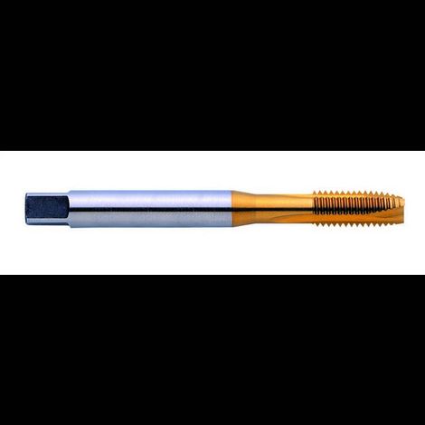 Eventus by Exact 11324 Maschio a macchina metrica M6 1 mm Taglio destrorso DIN 371 HSS-E Forma B 1 pz.