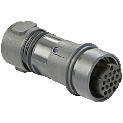 Connecteur de câble mâle série Buccaneer 6000 Bulgin Buccaneer 6000 PXP6011/02P/ST/0507 1 pc(s) (1/2)