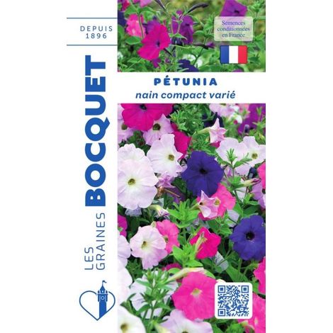 Pétunia nain compact varié - 0,5g