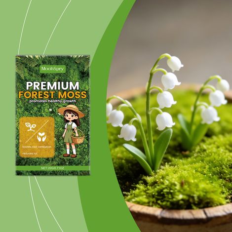 Vielseitig verwendbares Moos, geeignet für Gartenarbeit und Innendekoration, pflegeleicht, geeignet für Pflanzenklima und Luftfeuchtigkeit – 20 g -- DE (1/5)