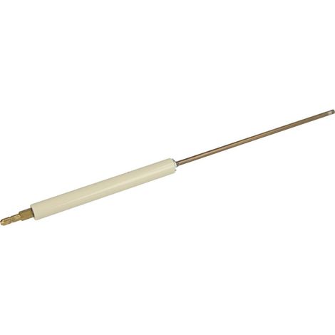 Électrode d'ionisation pour Riello 40