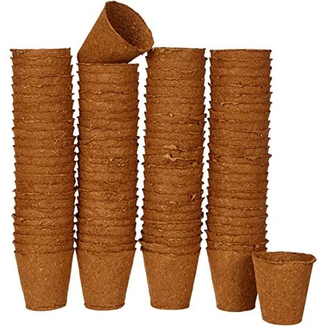 Dehner Vasi per Piante, Rotondi, Diametro 6 cm, 96 Pezzi (1/4)