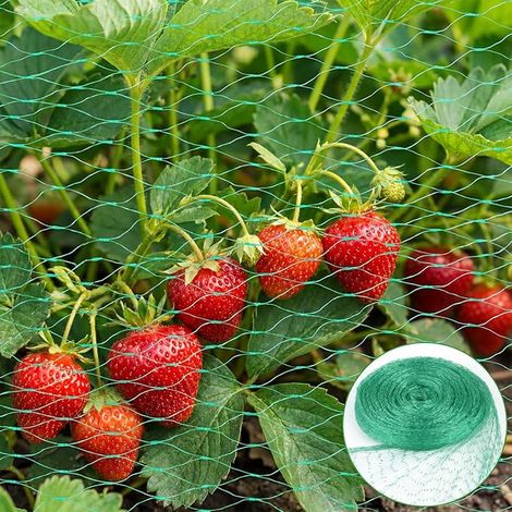 Green Bird Netting, Anti-Bird Netting, Plant Protection Netting, Anti Bird Nets for Ponds, Vegetable Gardens, Flowers, Shrubs, Fruit Trees (1/4)