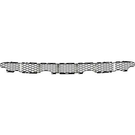 Grille de pare-choc avant centrale BMW X5 1 E53 phase 2 2003-2007