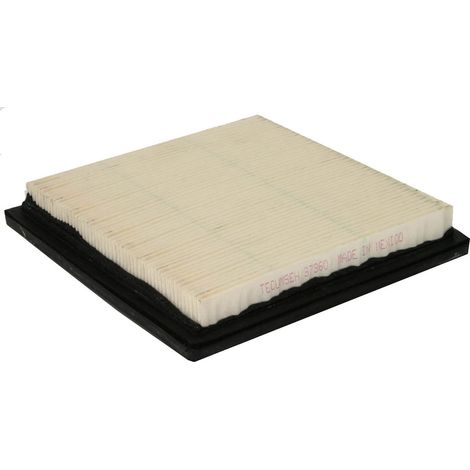 Filtro aria TVT 691 bicilindrici 180 x 170 mm TECUMSEH
