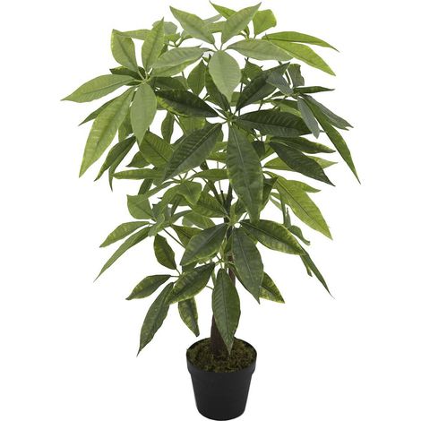 Geldbaum mit Topf 45x45x85 cm (1/3)