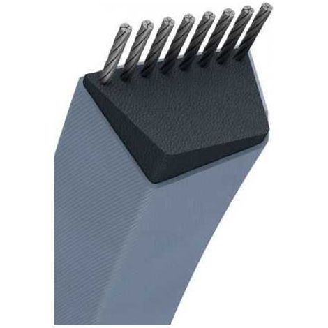 Courroie tondeuse A32,5 trapézoïdale  13 x 876 mm (1/5)