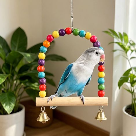 Balançoire perroquet en bois avec perles colorées et cloches, jouet de cage à oiseaux, perchoir suspendu interactif pour calopsitte, inséparable et perruche