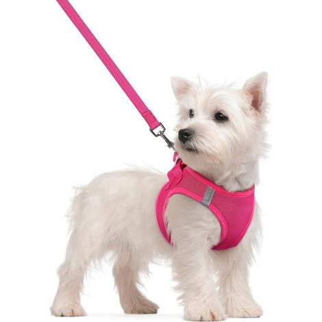 Harnais pour animaux Taille S Facile à mettre et à enlever Sécurité réfléchissante Pratique pour les promenades Gilet à enfiler (1/4)