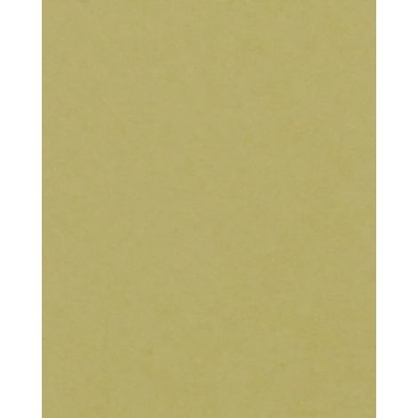 HNFD passe-partout 42x59,4 cm dla 30x45 cm Verda Artemisia 1,4 mm (1/3)