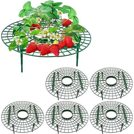Ensemble de 5 supports à fraises - Support réglable à 4 pieds - Protection contre les escargots, la pourriture et le mildiou (1/5)