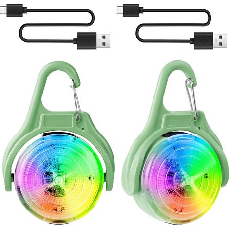 Lot de 2 Lampes LED de Sécurité Rechargeables pour Collier de Chien, Modes Clignotants et Étanchéité IPX68, Pour Sécurité Nocturne (1/5)