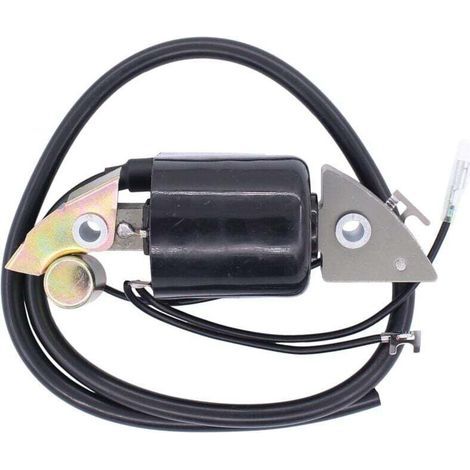 Zündspule für G150-, G200-, G300- und G400-Motoren, Teilenummer 30500-887-303 und 30560-883-015