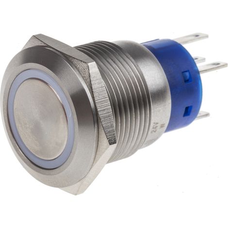Bouton-poussoir, Momentané lumineux, LED Blanc, Unipolaire à deux directions (1RT), 5 A, Argent, Montage panneau 24V ( Prix pour 1 ) (1/2)