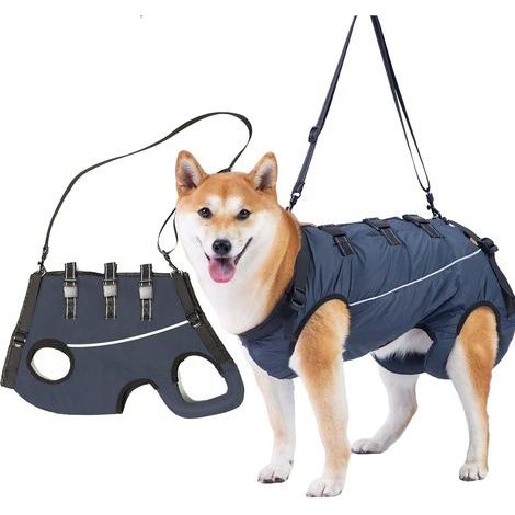 Harnais de Levage pour Chien, Support et Rééducation pour Animaux de Compagnie, Harnais de Rééducation pour Handicapés, Blessures Articulaires, Coupe des Griffes de Rééducation (S) (1/5)