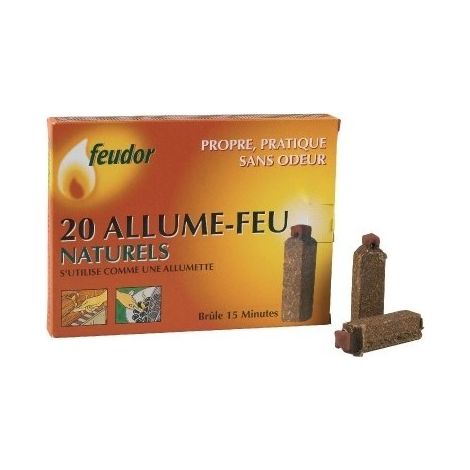 Zündkerze Bg 20