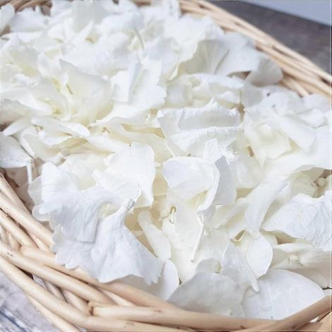 Pétales d'hortensia séchés blanc ivoire 1500 petits pétales pour mariage confettis de fête décoration pour demande en mariage romantique artisanat (1/5)