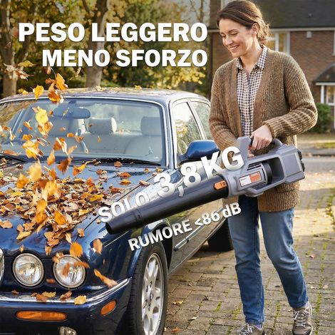 Souffleur de jardin électrique 36V sans fil, 2 batteries 4000mAh incluses, chargeur fourni, modèle léger et portatif (1/5)