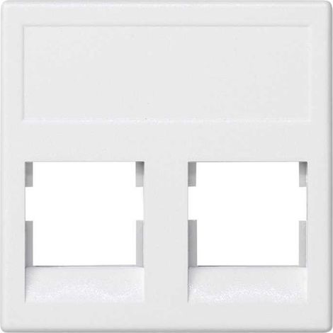 Placa K45 V-D plana con 2 conectores AMP/KRONE blanco SIMON KB076/9