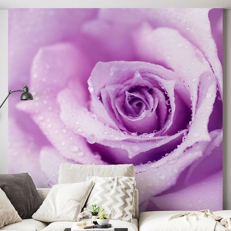 Papier peint panoramique - La rose - 130 cm x 134 cm (1/4)