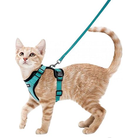 Harnais et laisse pour chat - Harnais-gilet anti-fugue pour les promenades et les voyages - Maille douce réfléchissante et ajustable, taille XS (1/5)