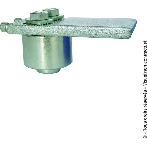 PIVOT SUPERIEUR DOUBLE REGLAGE A ROULEMENT D50 ZG.BL - TORBEL INDUSTRIE - A200248 - Lot de 2