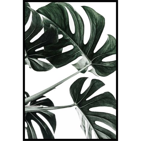 Affiche encadrée feuille tropicale monstera graphique