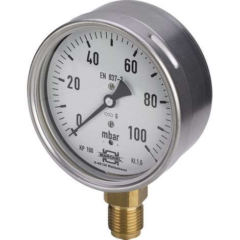 VIEGA 532987 Kapselfedermanometer G2591 (1/3)