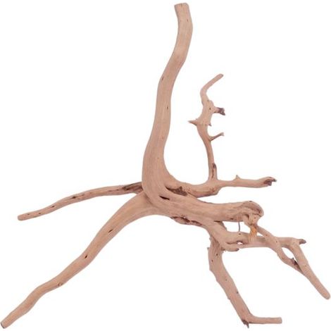 M Moorkienwurzel Nr.4429 Holz Deko Aquascaping