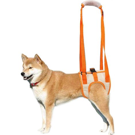 Hundetragegurt und zusätzliche Stützgurte für Haustiere können bei der Rehabilitation von mangelnder Stabilität, Hüftgelenksbehinderungen der Hinterbeine und Gelenkproblemen älterer Menschen helfen.-S