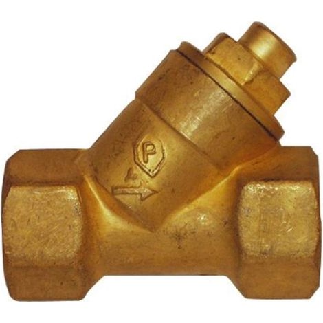 CORNAT T576003 Valvola di non ritorno 1", 1 Zoll