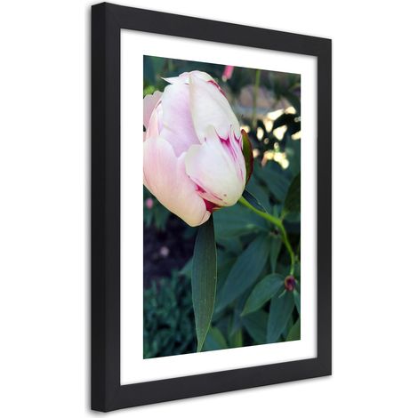 Quadro con cornice, Peonia bianca - 30x45 (1/5)