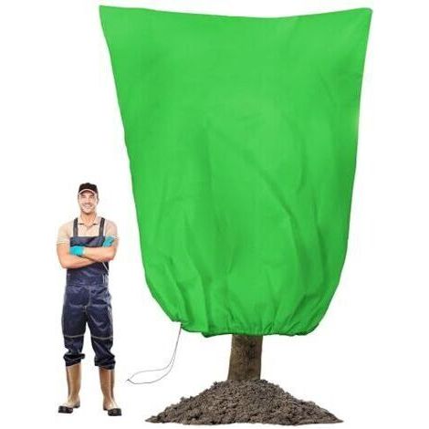 BUNTHAUS Grande protection hivernale pour plantes d'extérieur (200 x 240 cm) – Protection de haute qualité, épaisse et respirante, avec fermeture éclair et cordon de serrage, idéale pour les oliviers, (1/5)