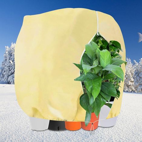 Winterschutz 250x360cm für Pflanzen Kübelpflanzen Frostschutz Palmen-XXL (1/5)