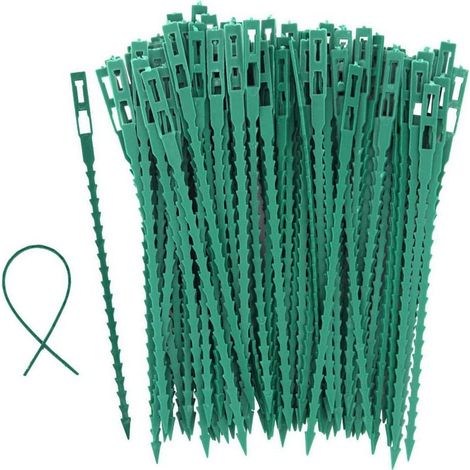 100 Pcs Accroche Tuteurs-17cm pour Tomates Arbres Serre-câble Lien en Plastique Réutilisables Attache Plante pour Arbustes Jardinage (1/5)