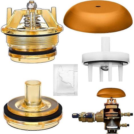 Kit de réparation de chapeau et de clapet 905-212 (lot de 5) compatible avec les clapets anti-retour modèle 765 de 1 pouce et 1-1/4 pouce (1/5)